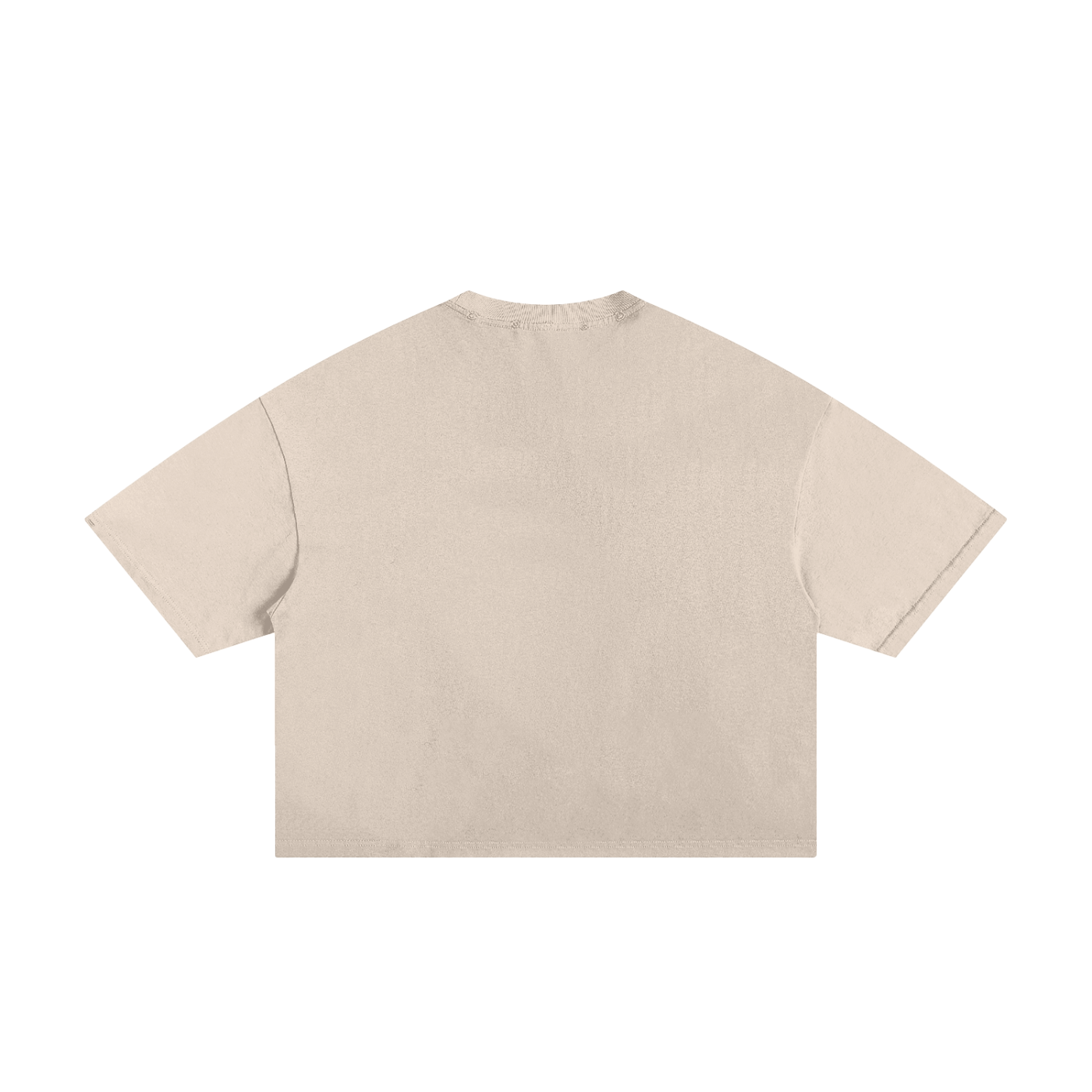 Brick by Brick (Dayone) Unisex Boxy Crop Tee