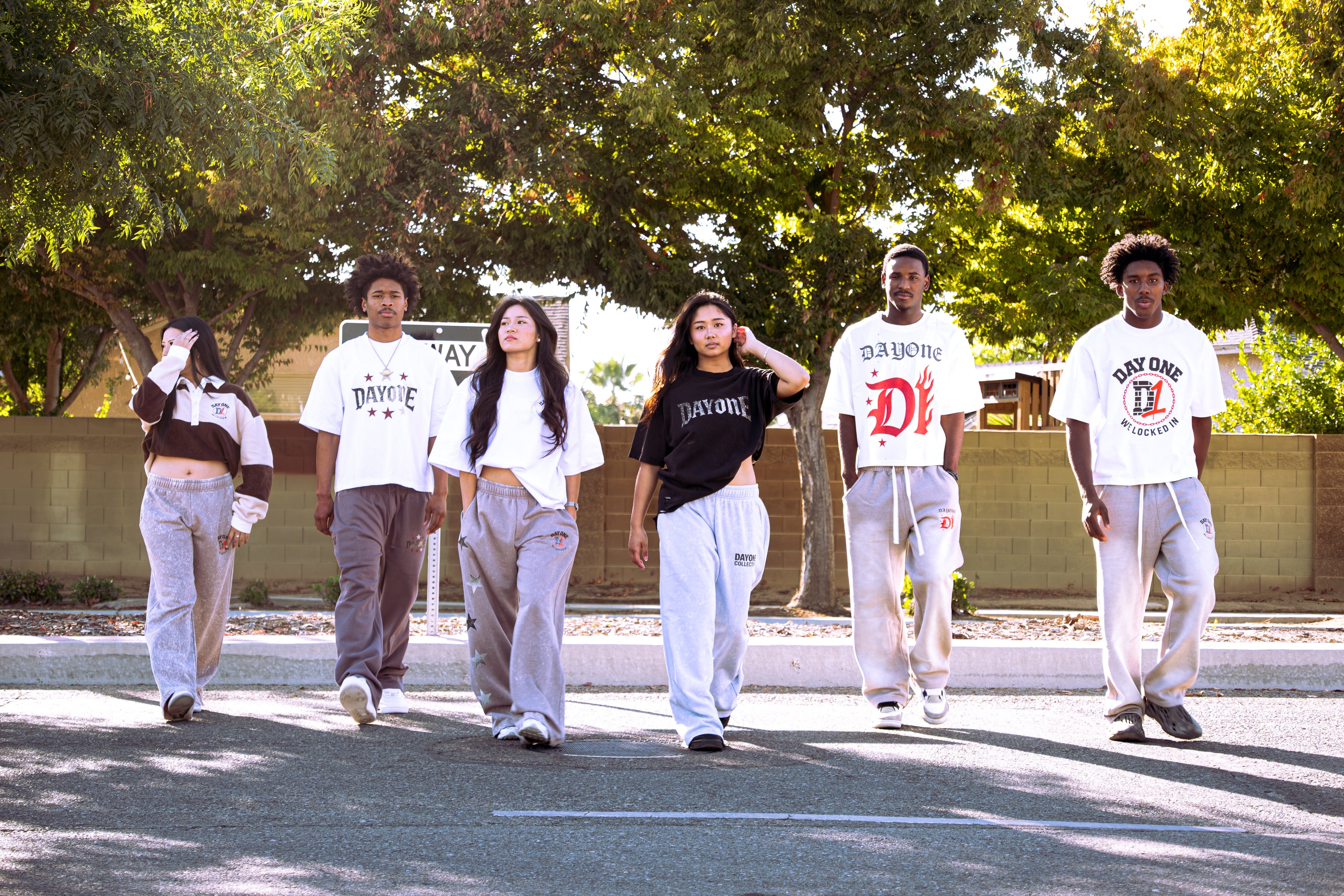 ✨ New Arrival Alert ✨